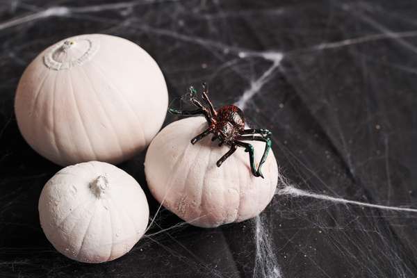White Halloween Pumpkins and Spider Are on Table with Cobweb